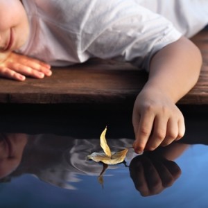 + leaf boat in water In the Wake July 1415507209_s