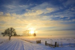 + winter sunrise field Jan 12 blog 5918767_s