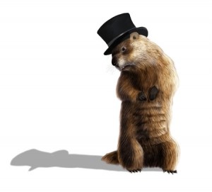 + Groundhog Blog Feb 16 36145892_s